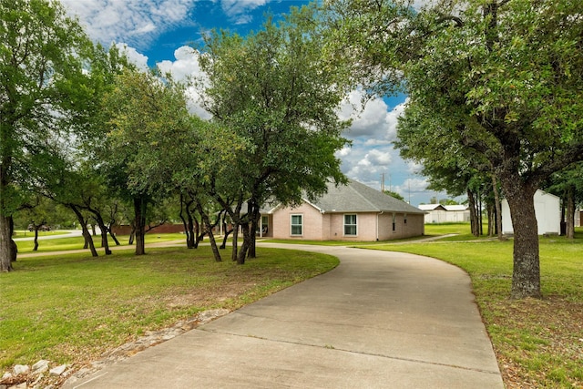 view of front of property featuring curved driveway and a front yard