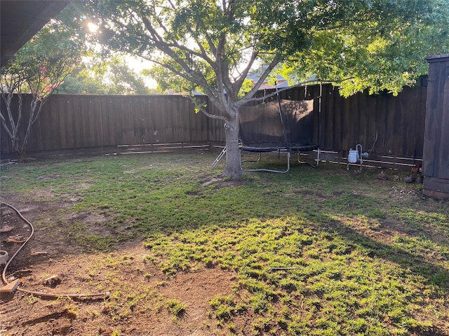 433 Fieldwood Dr, Richardson, TX 75081 - fenced backyard featuring a trampoline