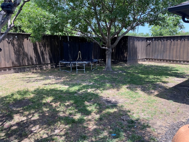 433 Fieldwood Dr, Richardson, TX 75081 - fenced backyard with a trampoline