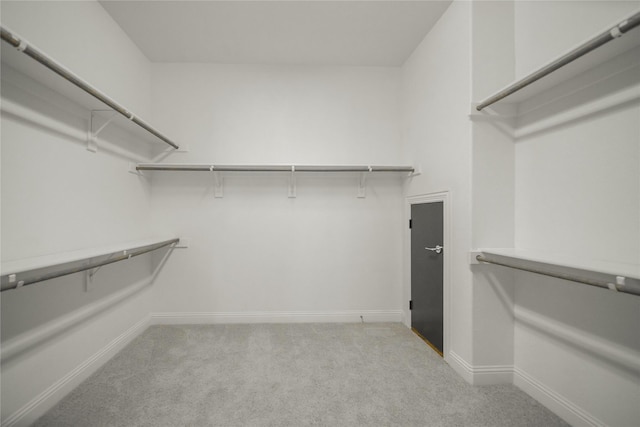 7005 Homestead Dr, Mckinney, TX 75070 - walk in closet with light colored carpet