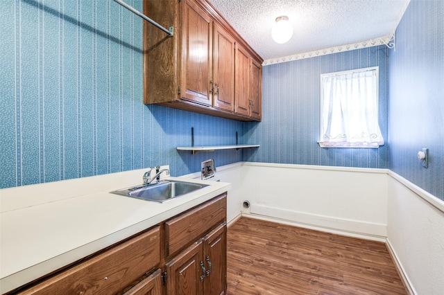 908 Willow Brook Dr, Allen, TX 75002 - laundry area featuring hookup for a washing machine, a sink, dark wood-style flooring, and cabinet space