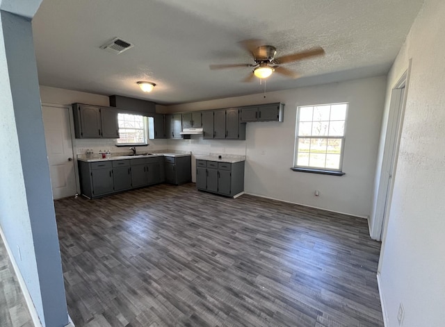 kitchen with a sink, dark wood finished floors, gray cabinets, visible vents, and ceiling fan