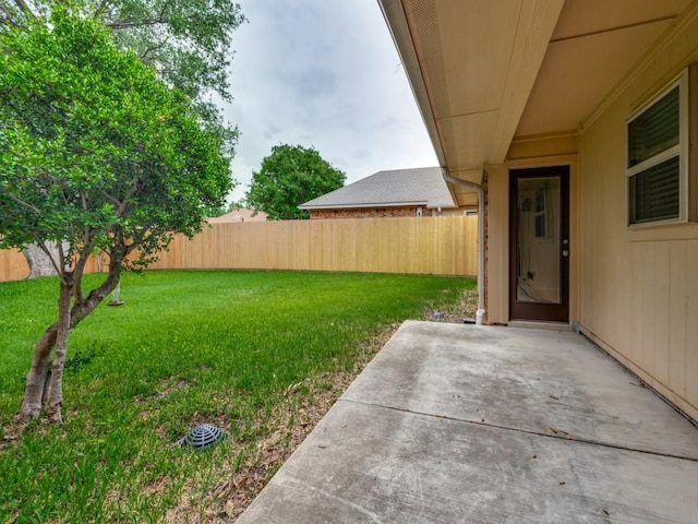 view of yard featuring a patio and a fenced backyard