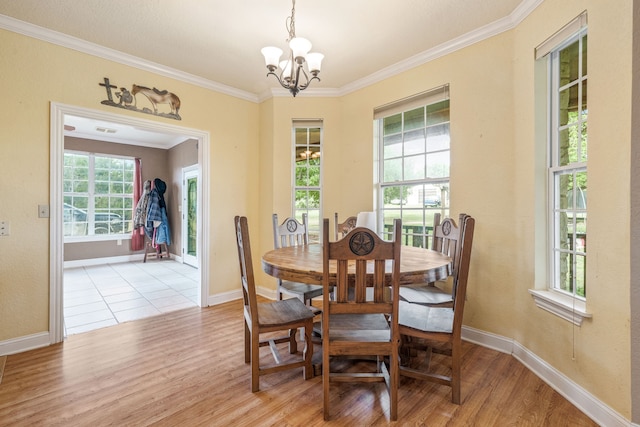 dining room featuring an inviting chandelier, ornamental molding, light wood finished floors, and a healthy amount of sunlight