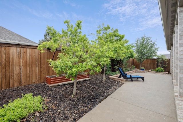 3004 Culver Ave, Celina, TX 75009 - view of yard featuring a fenced backyard, a patio, and a vegetable garden