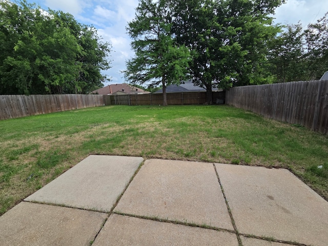view of yard featuring a patio and a fenced backyard