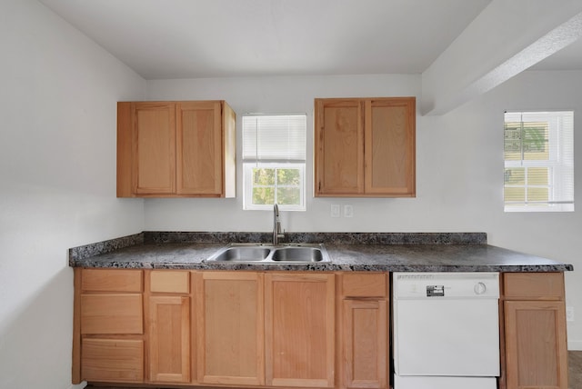 kitchen featuring dark countertops, a healthy amount of sunlight, a sink, and dishwasher