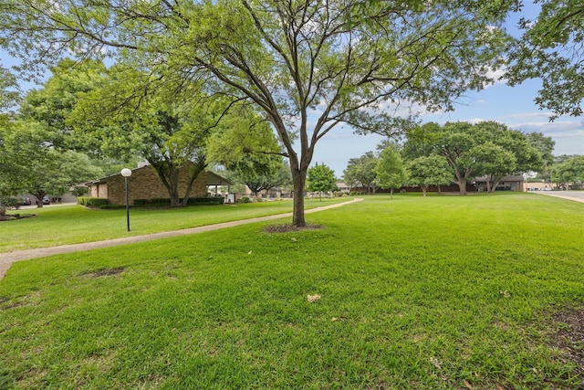 9625 Highland View Dr, Dallas, TX 75238 - view of green lawn