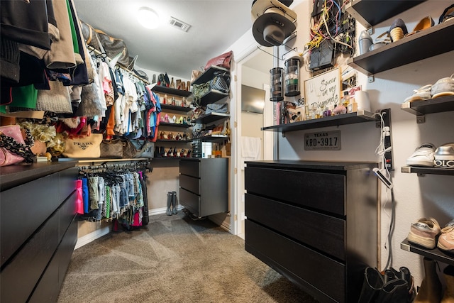 1005 Mallard Lakes Dr, Mckinney, TX 75072 - walk in closet featuring carpet floors