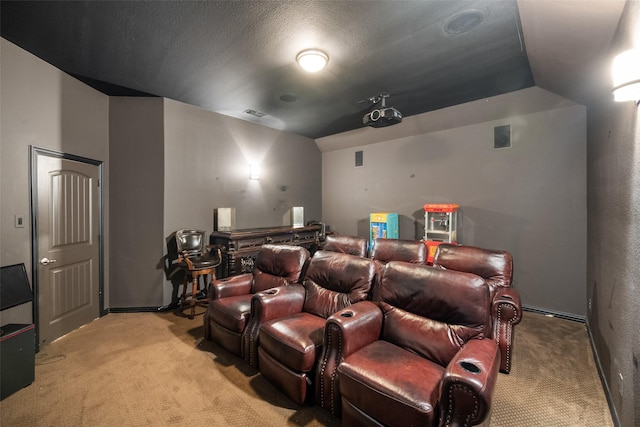 1005 Mallard Lakes Dr, Mckinney, TX 75072 - home theater room featuring light colored carpet