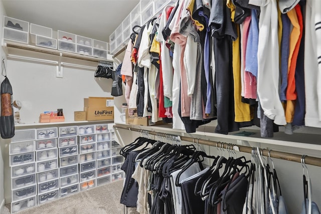 1036 Fairfax Dr, Godley, TX 76044 - view of spacious closet