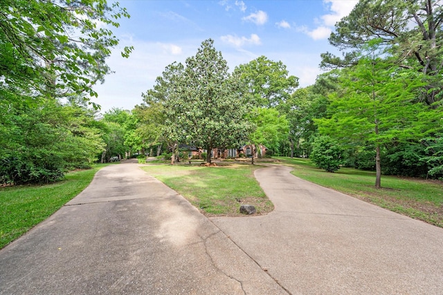 view of community with a lawn and driveway