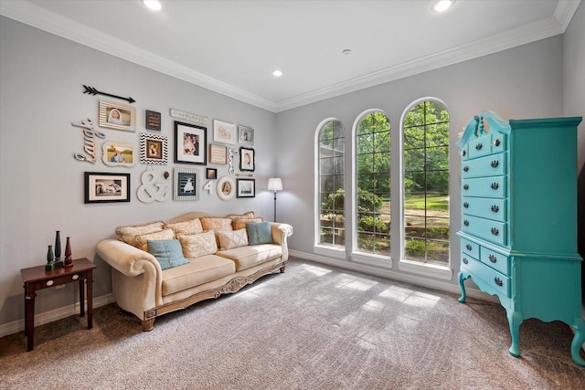 living area featuring baseboards, ornamental molding, and carpet flooring