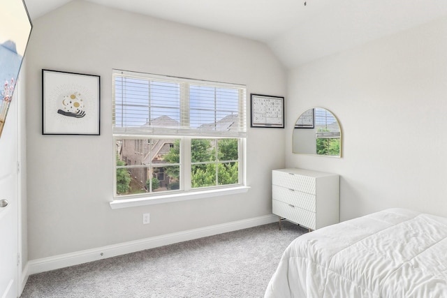 bedroom featuring baseboards, carpet, and lofted ceiling
