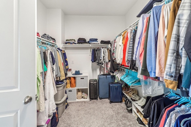 spacious closet featuring carpet floors