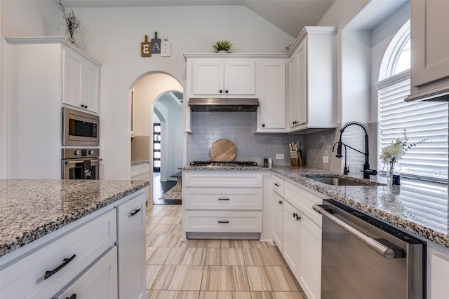 8480 Kincaid Ln, Frisco, TX 75036 - kitchen featuring under cabinet range hood, backsplash, appliances with stainless steel finishes, and a sink