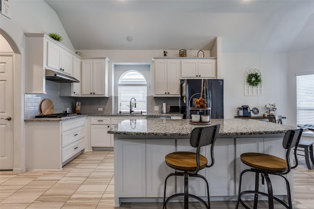 8480 Kincaid Ln, Frisco, TX 75036 - kitchen featuring a sink, freestanding refrigerator, lofted ceiling, tasteful backsplash, and under cabinet range hood