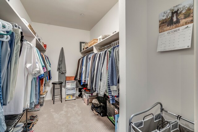 3111 Welborn St Unit 1405, Dallas, TX 75219 - walk in closet with carpet flooring
