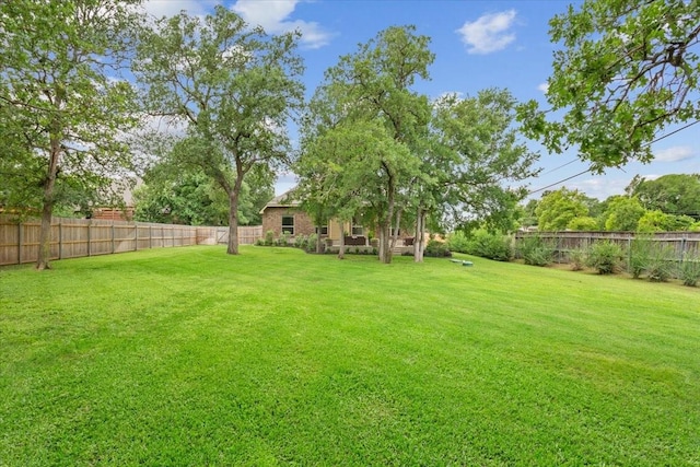 view of yard featuring a fenced backyard