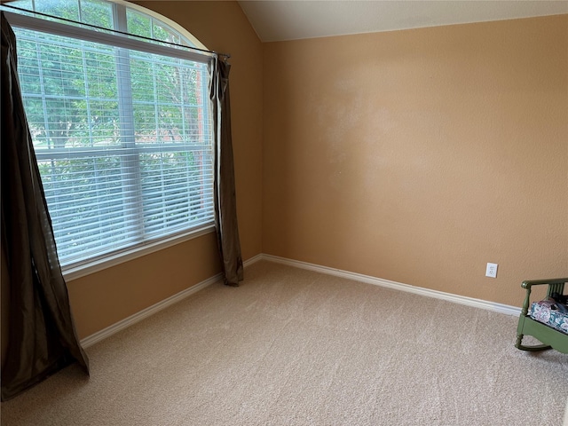 9204 Lockhart Dr, Arlington, TX 76002 - unfurnished room with carpet, lofted ceiling, and baseboards