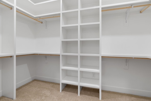 spacious closet with carpet