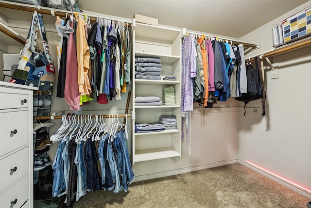 walk in closet with carpet floors