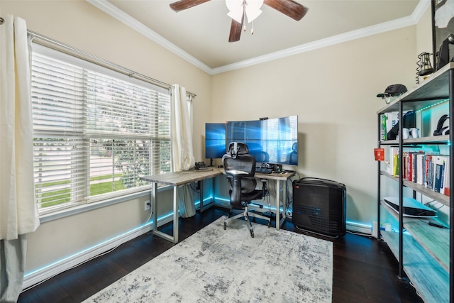 office area featuring plenty of natural light, a ceiling fan, and wood finished floors