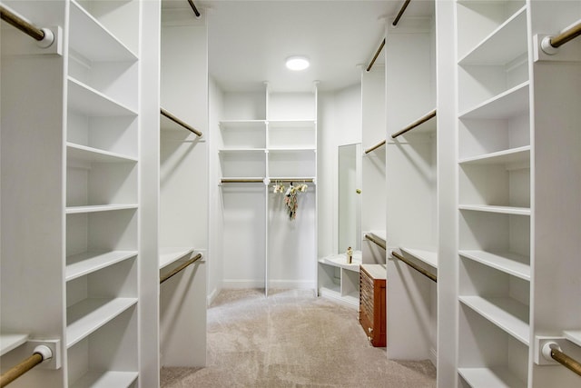 spacious closet with light colored carpet