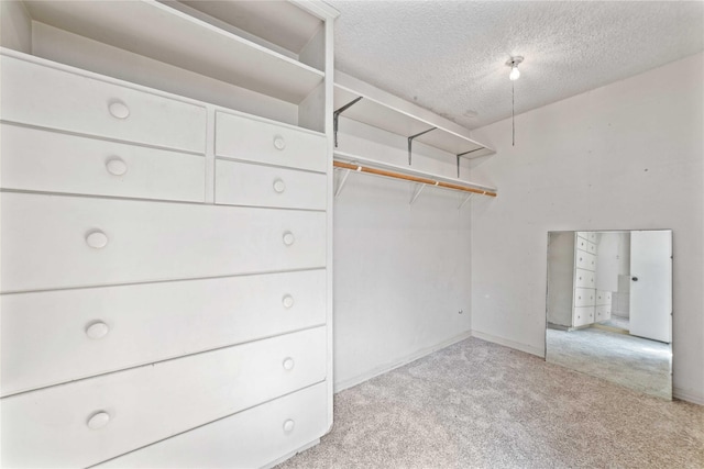 spacious closet featuring carpet floors