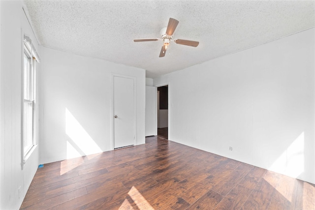 interior space featuring a ceiling fan, a textured ceiling, and wood finished floors