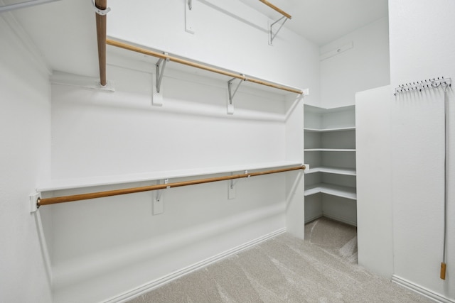 spacious closet with carpet