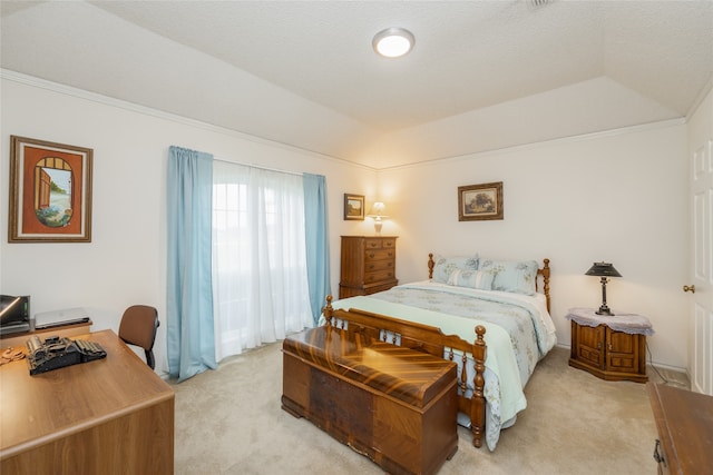 bedroom with a tray ceiling and light carpet