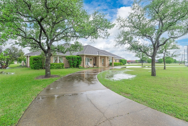 view of front of house featuring brick siding, curved driveway, a tile roof, and a front yard