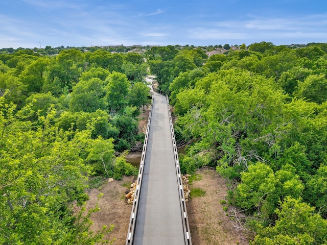 13029 Guerin Dr, Frisco, TX 75035 - aerial view