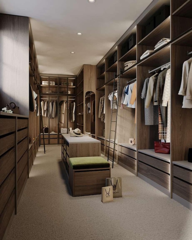 walk in closet with carpet floors