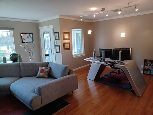 9528 Ash Creek Dr, Dallas, TX 75228 - living area featuring crown molding, a wealth of natural light, and light wood-type flooring