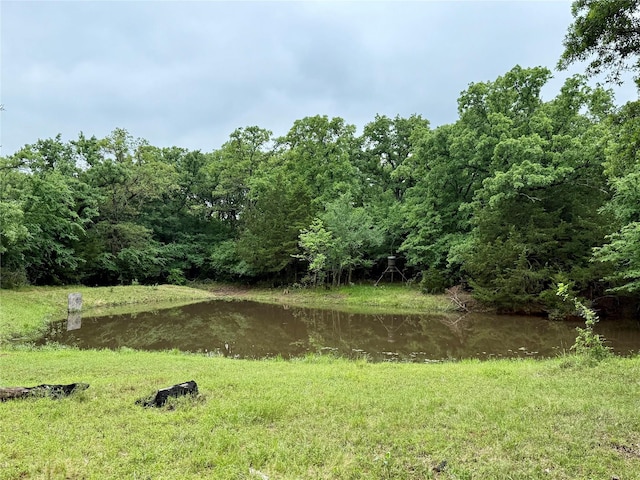 TBD County Road 203, Collinsville, TX 76233