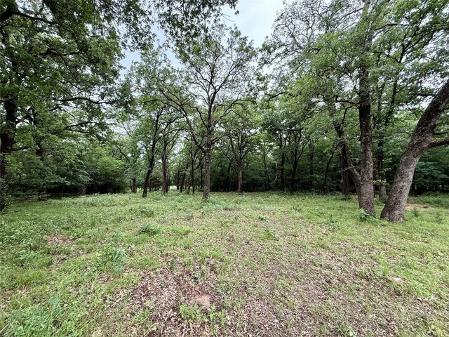 TBD County Road 203, Collinsville, TX 76233