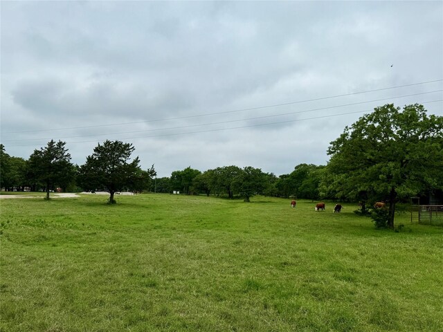 TBD County Road 203, Collinsville, TX 76233