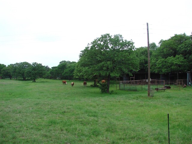 TBD County Road 203, Collinsville, TX 76233