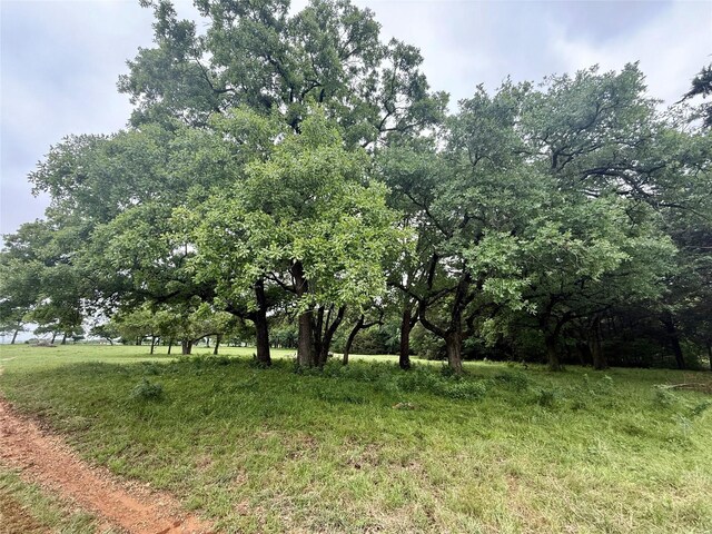 TBD County Road 203, Collinsville, TX 76233