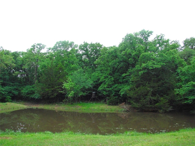 TBD County Road 203, Collinsville, TX 76233