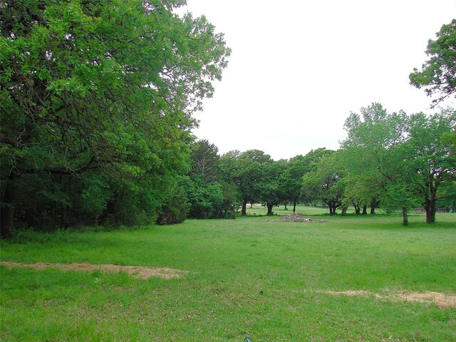 TBD County Road 203, Collinsville, TX 76233