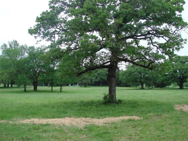 TBD County Road 203, Collinsville, TX 76233