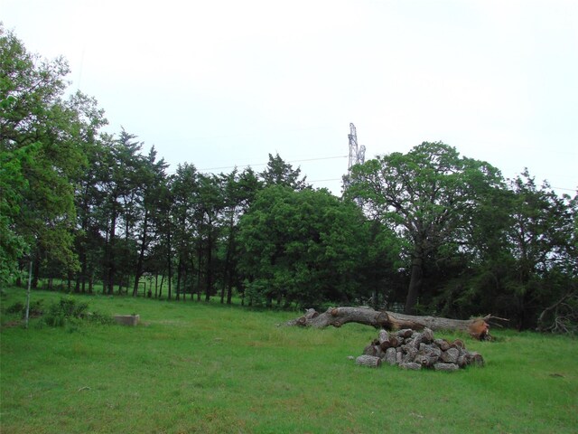 TBD County Road 203, Collinsville, TX 76233