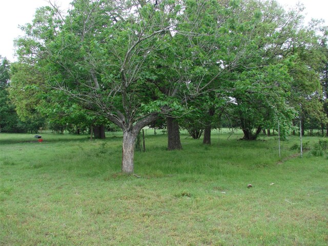 TBD County Road 203, Collinsville, TX 76233