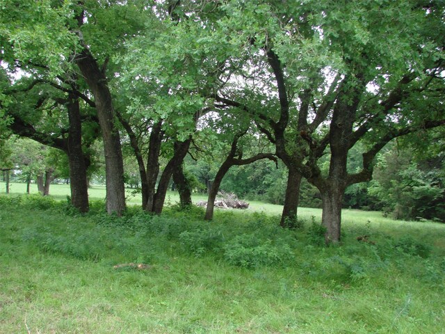 TBD County Road 203, Collinsville, TX 76233