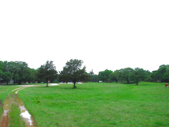 TBD County Road 203, Collinsville, TX 76233