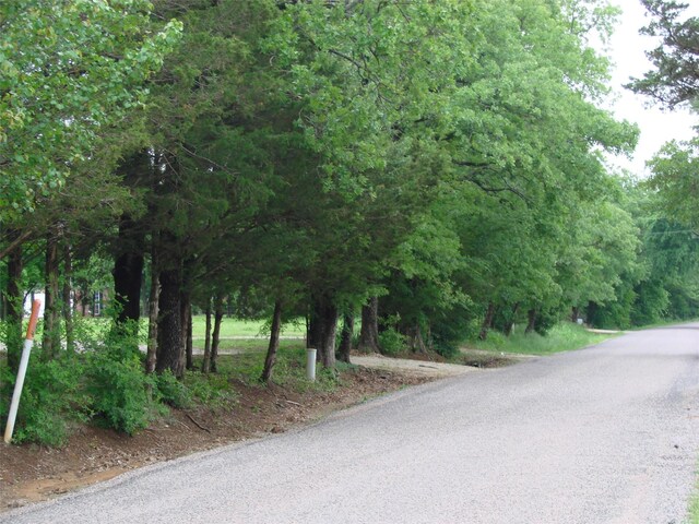 TBD County Road 203, Collinsville, TX 76233