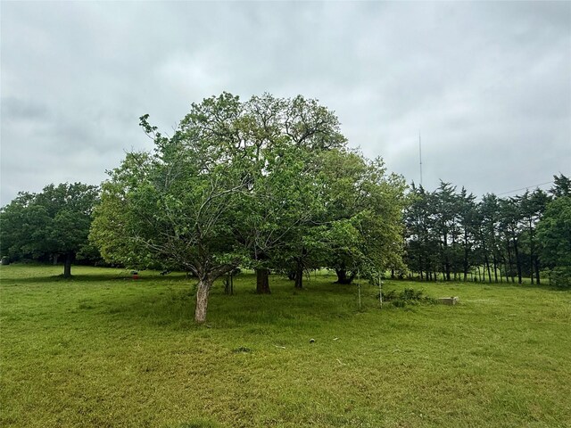 TBD County Road 203, Collinsville, TX 76233